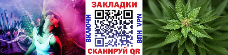  КОКАИН Сунжа
