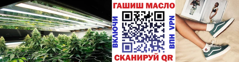 цена   Сунжа  ТГК Wax 