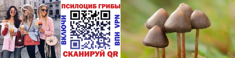 закладки  Сунжа  Галлюциногенные грибы мухоморы 